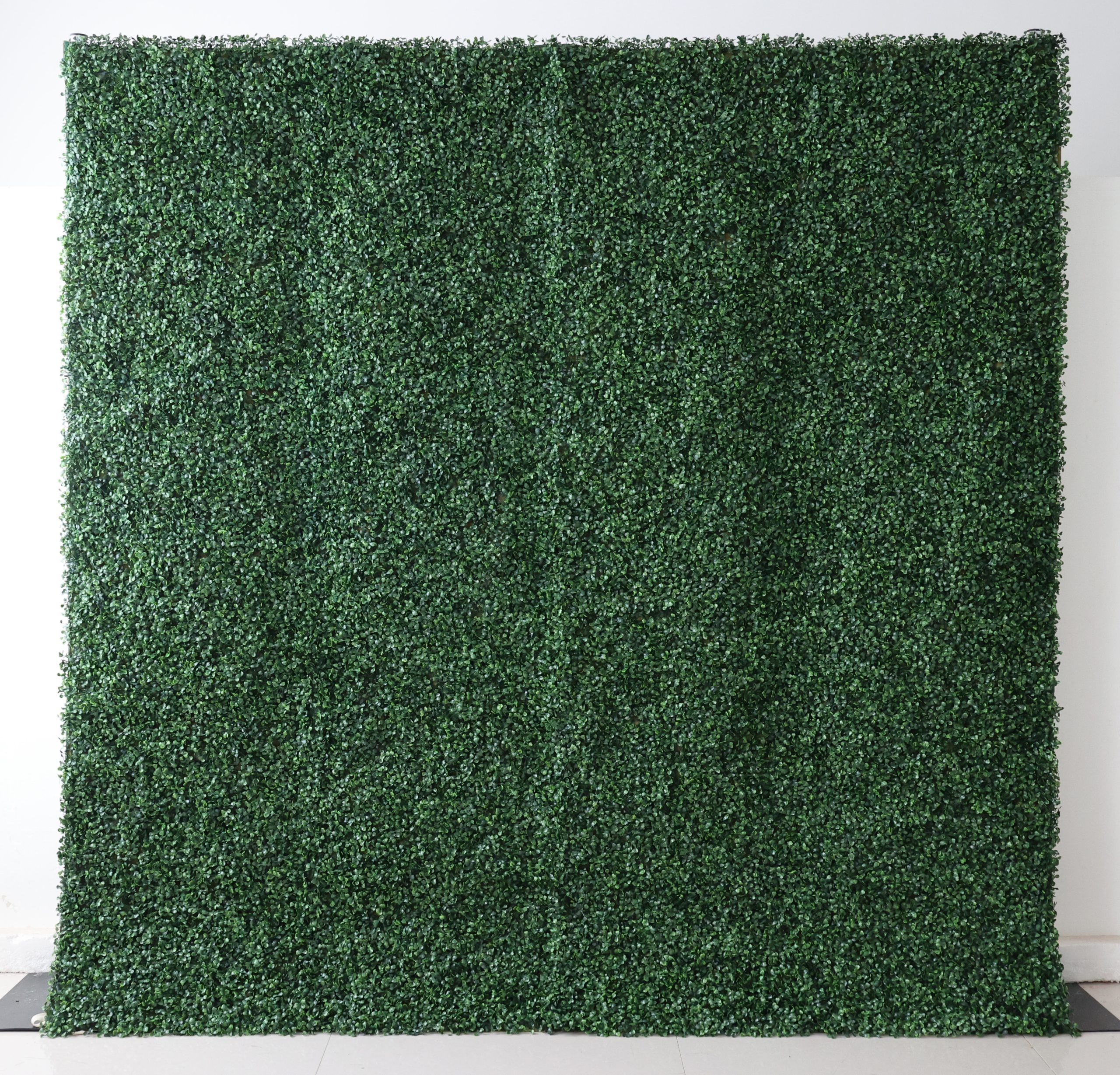 Green hedge flower wall for rent